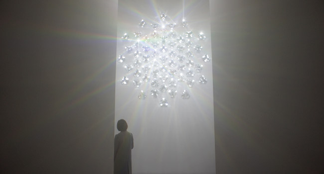 shiseido gallery